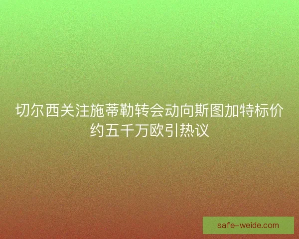 切尔西关注施蒂勒转会动向斯图加特标价约五千万欧引热议